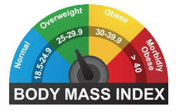 BMI Measurement Scale