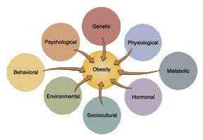 Physical Impact of Obesity
